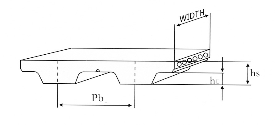 Dibujo de correa de Distribución de PU con paso en T