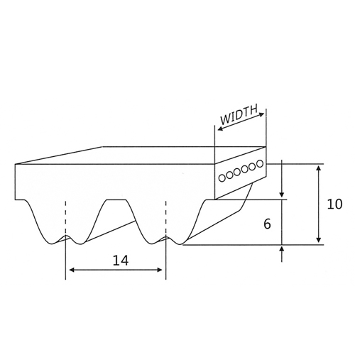 Correa de Distribución RPP14M