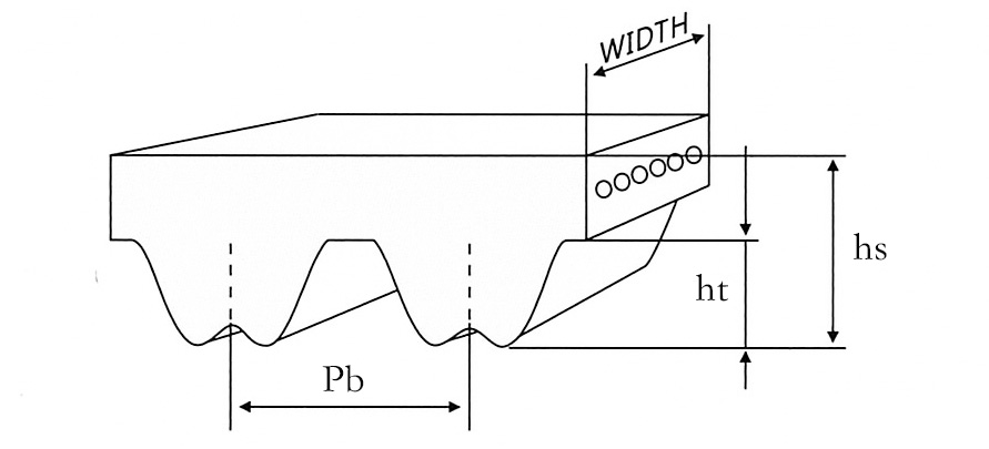 Dibujo de Cinturón RPP
