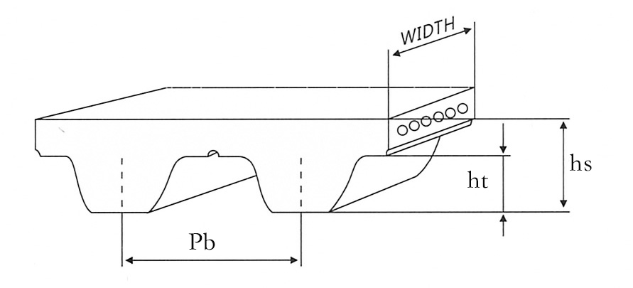 Dibujo de Cinturón Estándar