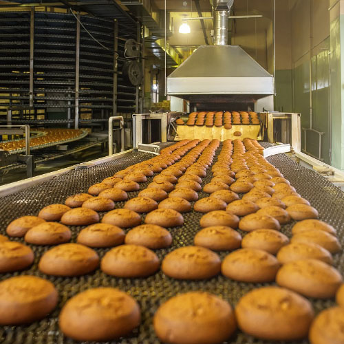 Cinta Transportadora para Procesamiento de Alimentos